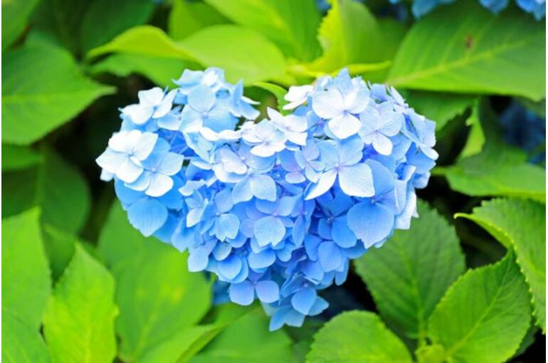 お薬の悩み相談できます。